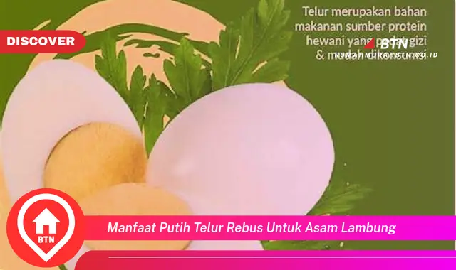 manfaat putih telur rebus untuk asam lambung