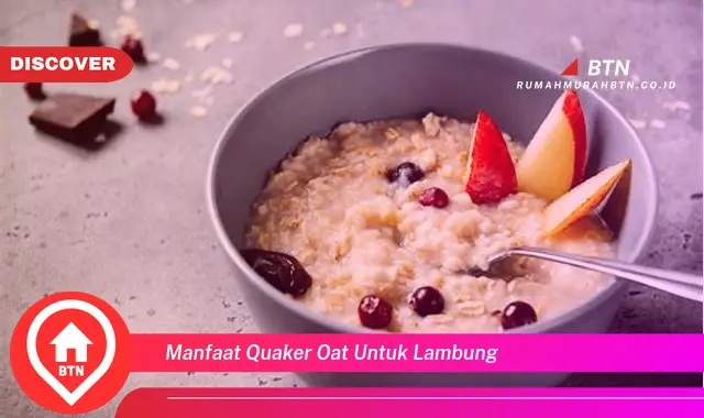 manfaat quaker oat untuk lambung