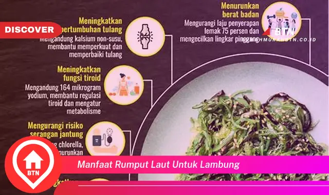 manfaat rumput laut untuk lambung