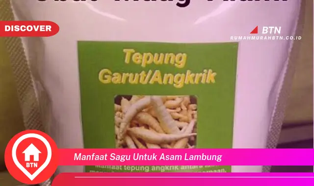 manfaat sagu untuk asam lambung