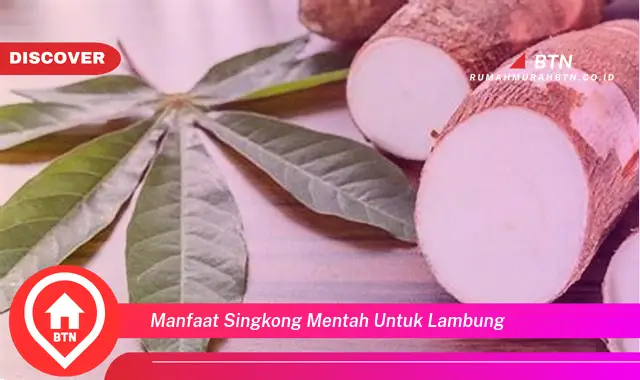 manfaat singkong mentah untuk lambung