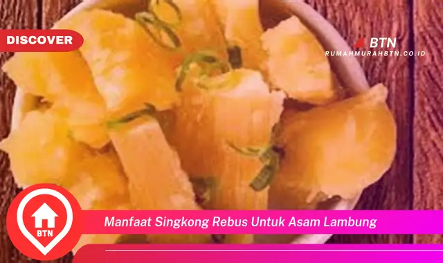 manfaat singkong rebus untuk asam lambung