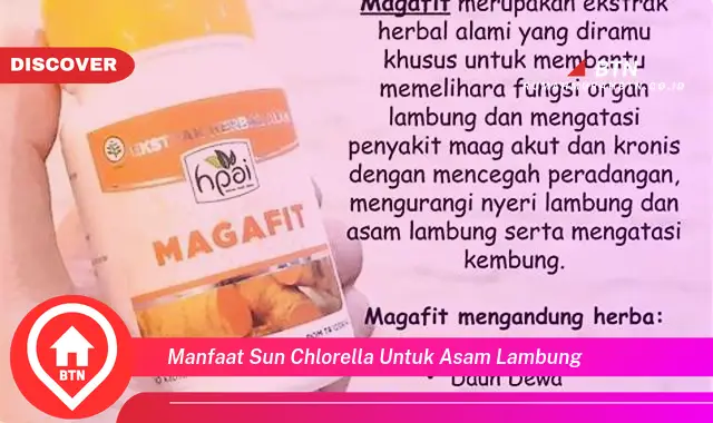 manfaat sun chlorella untuk asam lambung