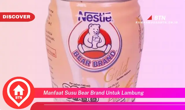 manfaat susu bear brand untuk lambung