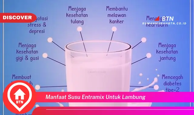 manfaat susu entramix untuk lambung