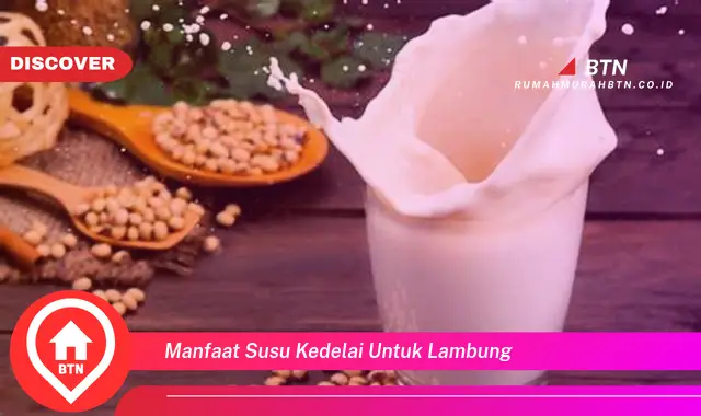 manfaat susu kedelai untuk lambung