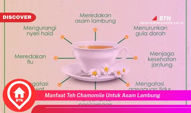 manfaat teh chamomile untuk asam lambung