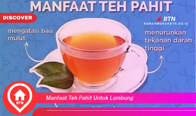 manfaat teh pahit untuk lambung