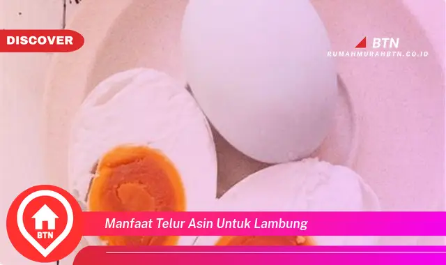 manfaat telur asin untuk lambung