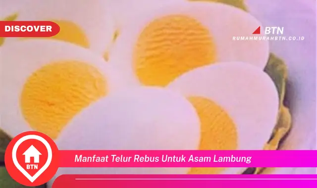 manfaat telur rebus untuk asam lambung