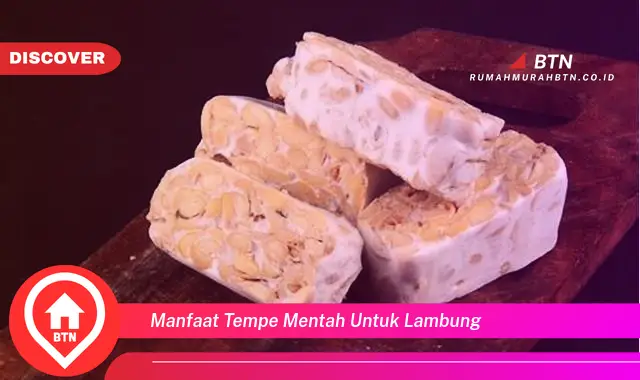 manfaat tempe mentah untuk lambung