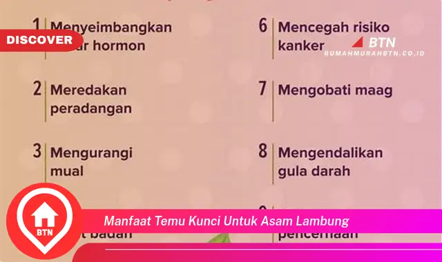 manfaat temu kunci untuk asam lambung