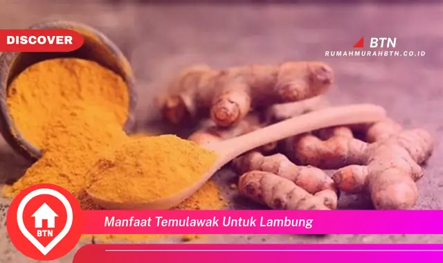 manfaat temulawak untuk lambung