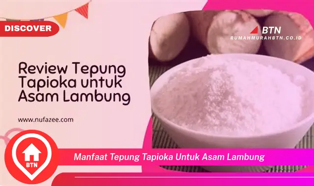 manfaat tepung tapioka untuk asam lambung