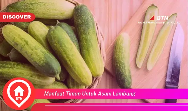 manfaat timun untuk asam lambung