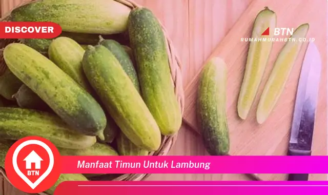 manfaat timun untuk lambung