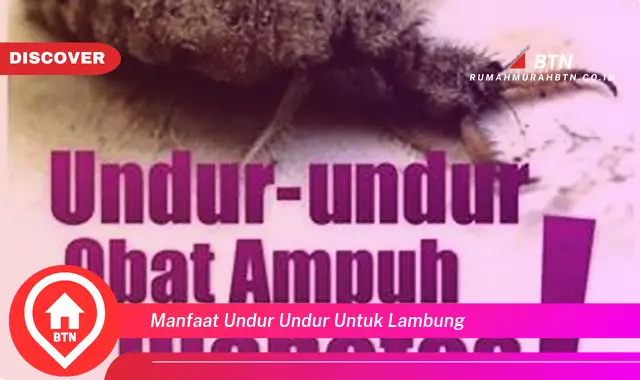 manfaat undur undur untuk lambung