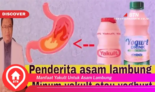 manfaat yakult untuk asam lambung