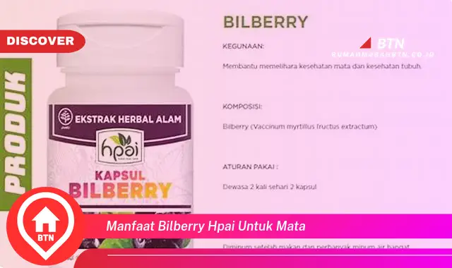 manfaat bilberry hpai untuk mata