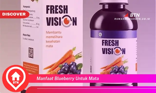 manfaat blueberry untuk mata