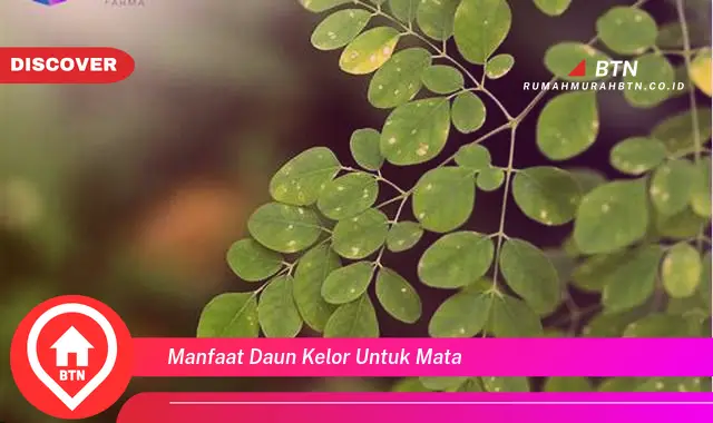 manfaat daun kelor untuk mata