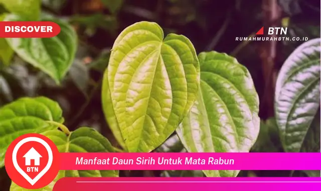 manfaat daun sirih untuk mata rabun