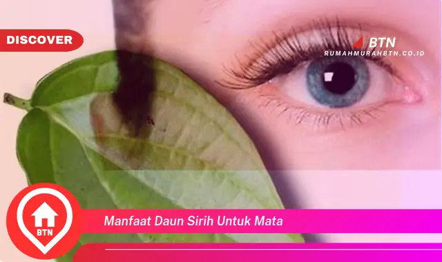 manfaat daun sirih untuk mata