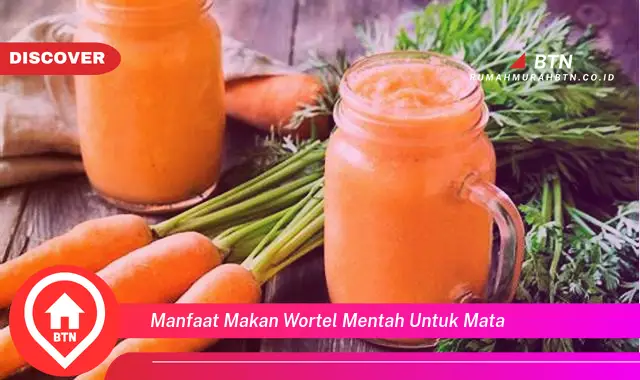 manfaat makan wortel mentah untuk mata