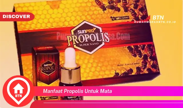 manfaat propolis untuk mata