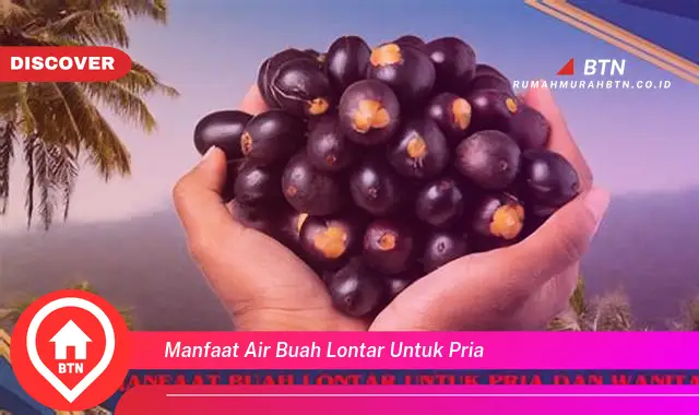 manfaat air buah lontar untuk pria