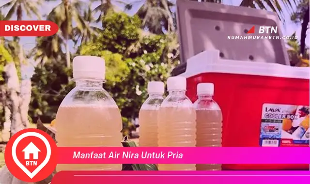 manfaat air nira untuk pria