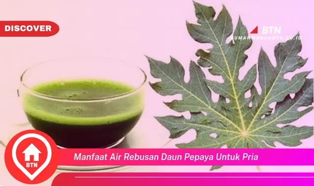 manfaat air rebusan daun pepaya untuk pria