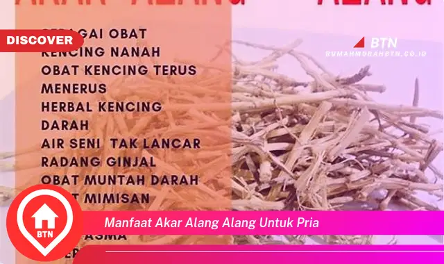 manfaat akar alang alang untuk pria