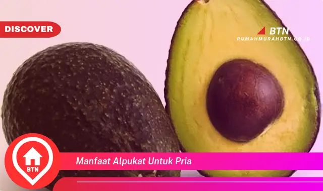 manfaat alpukat untuk pria