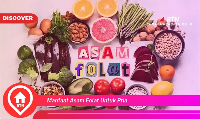 manfaat asam folat untuk pria