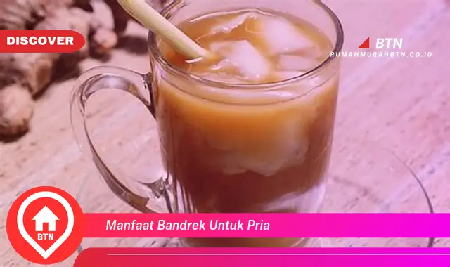 manfaat bandrek untuk pria