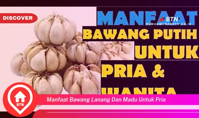 manfaat bawang lanang dan madu untuk pria