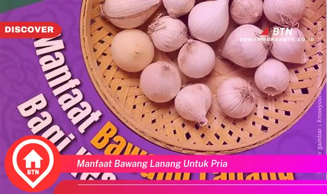 manfaat bawang lanang untuk pria