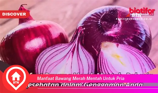 manfaat bawang merah mentah untuk pria