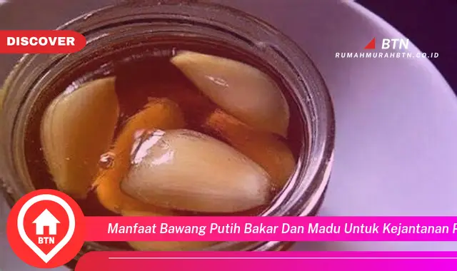 manfaat bawang putih bakar dan madu untuk kejantanan pria