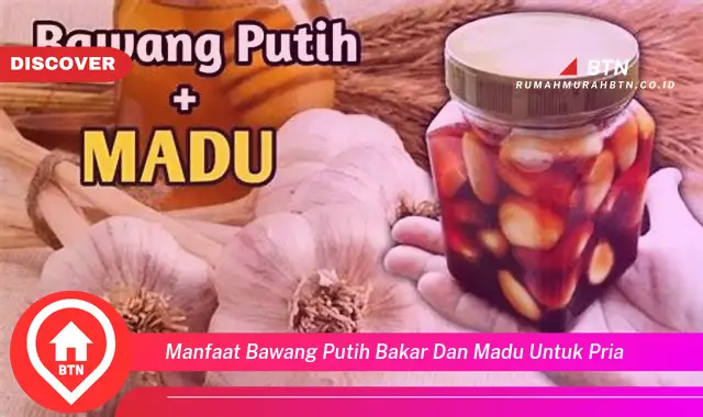 manfaat bawang putih bakar dan madu untuk pria