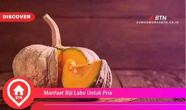 manfaat biji labu untuk pria