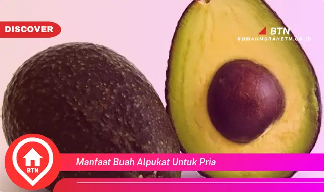 manfaat buah alpukat untuk pria