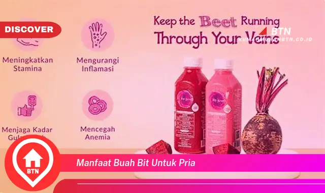 manfaat buah bit untuk pria