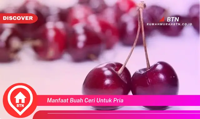 manfaat buah ceri untuk pria