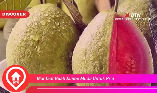 manfaat buah jambe muda untuk pria