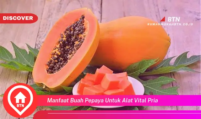 manfaat buah pepaya untuk alat vital pria