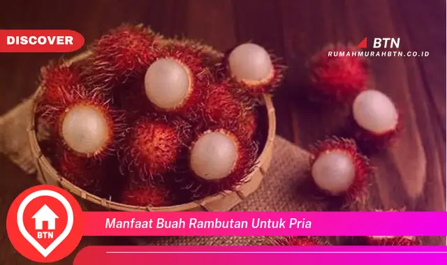 manfaat buah rambutan untuk pria