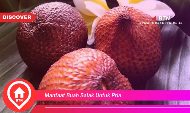 manfaat buah salak untuk pria