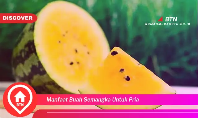 manfaat buah semangka untuk pria